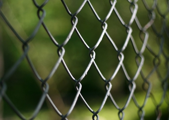 25100mm de Tuin van de Draadnetwerk van de Kettingsverbinding/25m Diamond Chain Link Fence For
