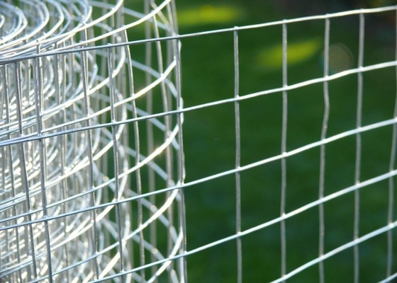 304 316 het Metaaldraad Mesh Roll van Mesh Fence van de Roestvrij staaldraad/0.5m3m