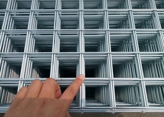 2x2 galvaniseerde Gelaste Draad Mesh For Agriculture/Bouw