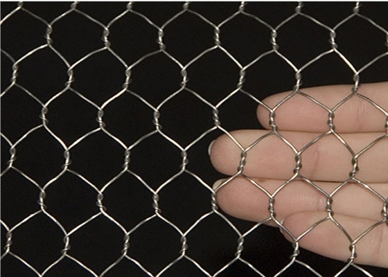 0.52m Kippegaas Mesh Netting, het Hexagonale Netwerk van de Gevogeltedraad