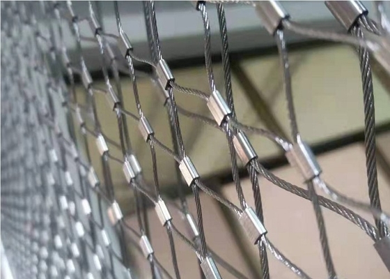 De zilveren Kabel Mesh For Protection Free Sample van de Roestvrij staalmetalen kap