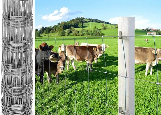 Het Veeomheining van het beschermings Elektro Gegalvaniseerde Staal, Herten/de Omheining van de Weidedraad