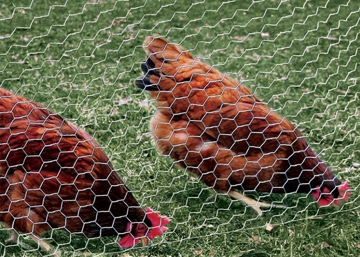 Pvc bedekte Gegalvaniseerd Kippegaasnetwerk 0.55.0mm de Vrije Steekproef van de Draad met een laagmaat
